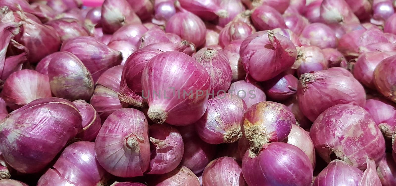 Group of Shallots onion Fresh purple shallots or Allium cepa, close up picture in the market