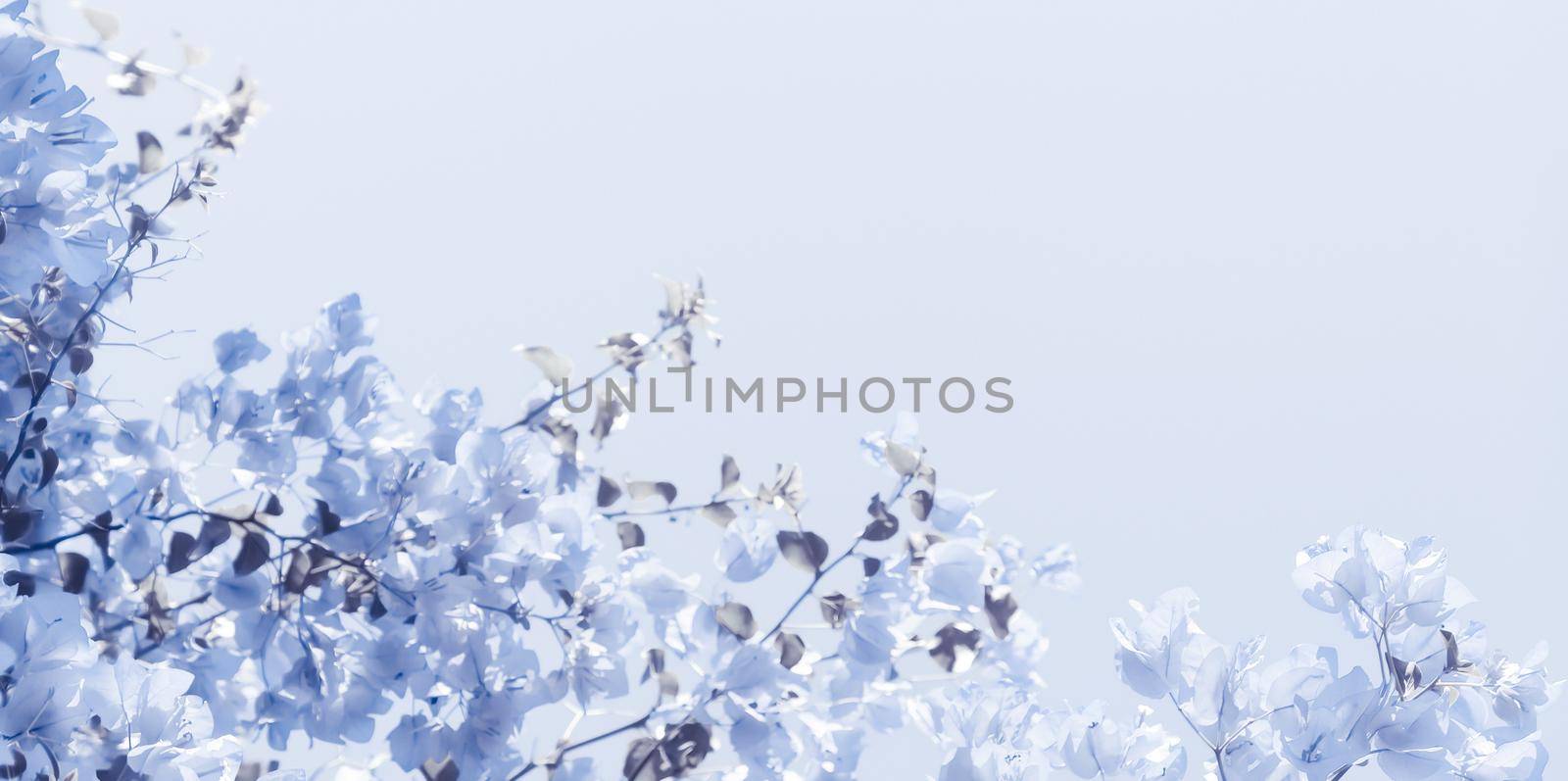 Blue floral composition by Anneleven