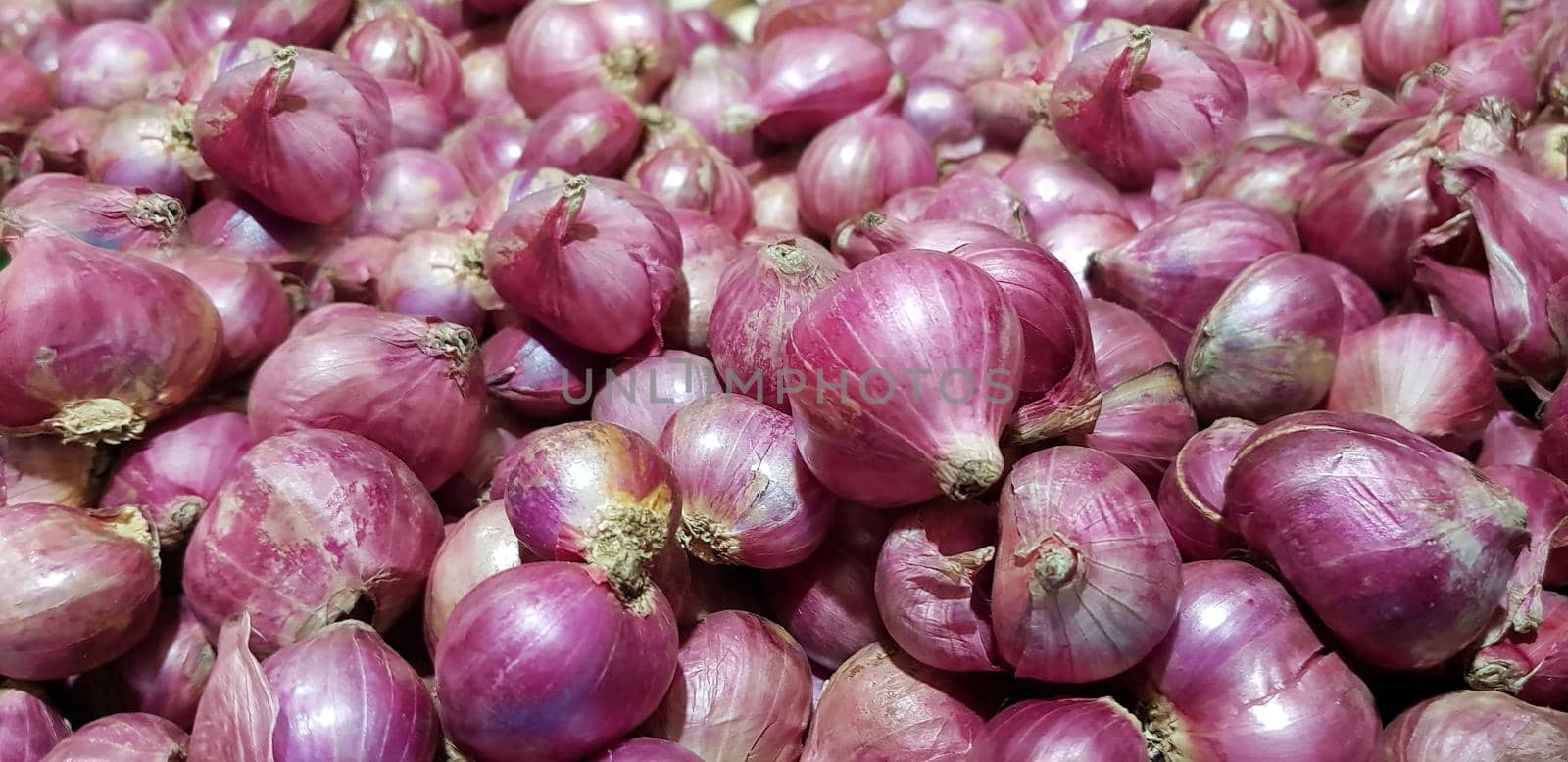 Group of Shallots onion Fresh purple shallots or Allium cepa, close up picture in the market