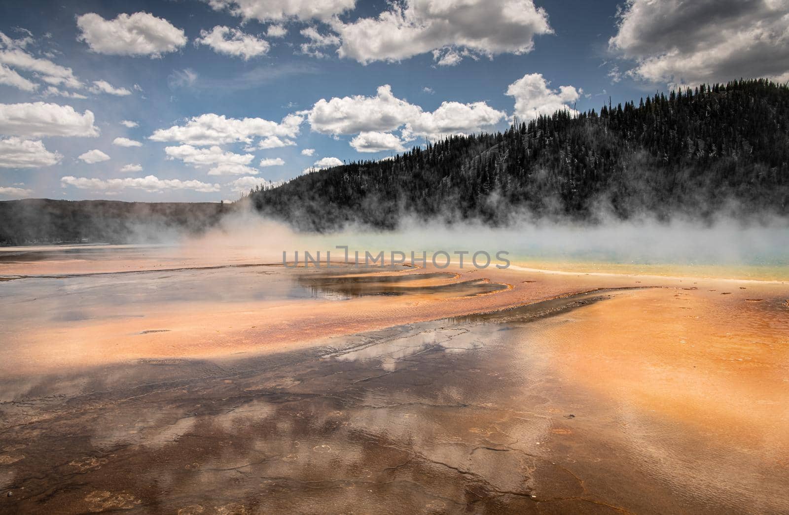 Yellowstone's thermal bacteria rainbow of orange