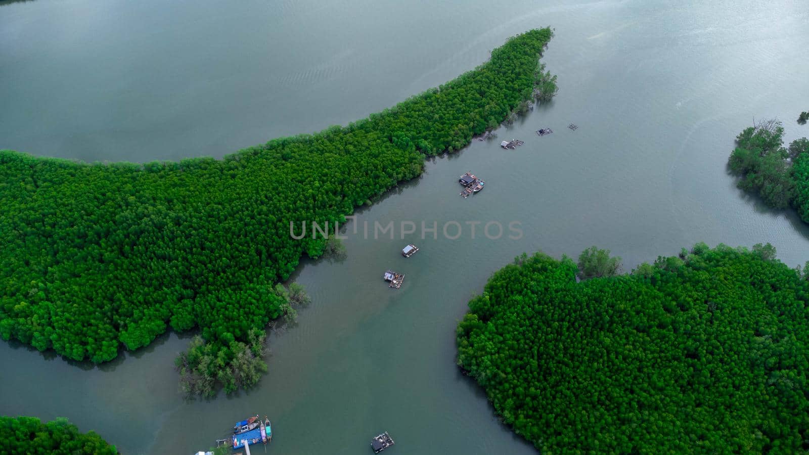 Aerial view of Thai traditional longtail fishing boats at the pier in Phang Nga Bay in the Andaman Sea, Thailand. Top view of many fishing boats floating in the sea among mangrove forest.