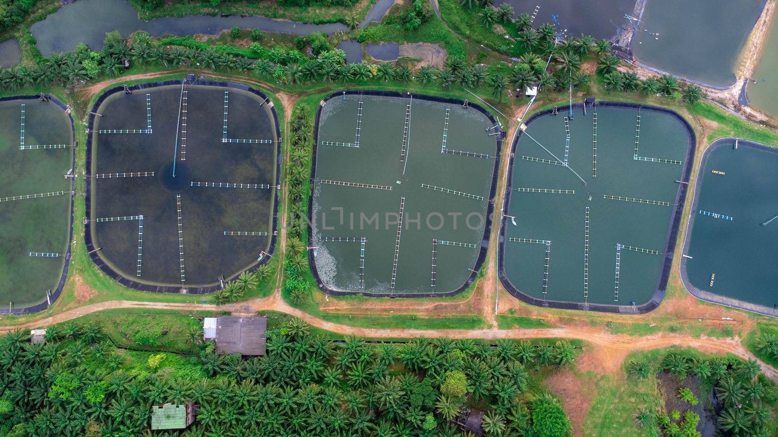 Aerial view of sewage treatment plant. Industrial wastewater treatment plant in Southern Thailand. Sewage Farm by TEERASAK