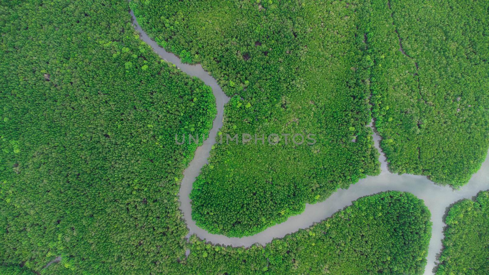 Aerial view of Phang Nga Bay and mangrove forest in the Andaman Sea, Thailand. Samet Nangshe, Unseen thailand. Beautiful natural landscape background