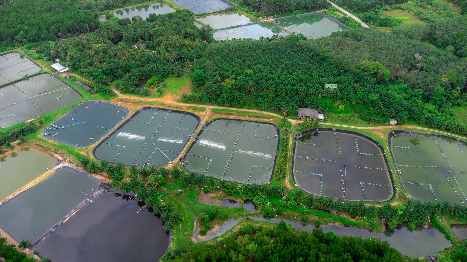 Aerial view of sewage treatment plant. Industrial wastewater treatment plant in Southern Thailand. Sewage Farm by TEERASAK