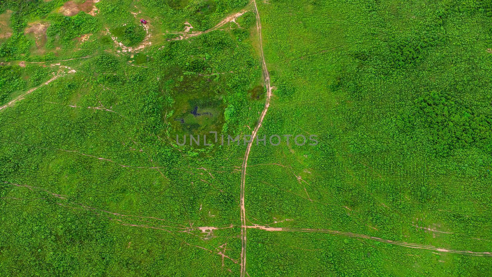 Aerial view of green pasture on a sunny day. Beautiful green area of agricultural land or grazing in the rainy season of northern Thailand. by TEERASAK