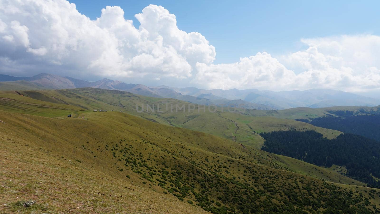 Big white clouds over green hills and mountains. Yellow-green grass covers the mountains, tall green coniferous trees in the gorge. Low bushes grow. A light haze floats on the ground. Assy, Kazakhstan