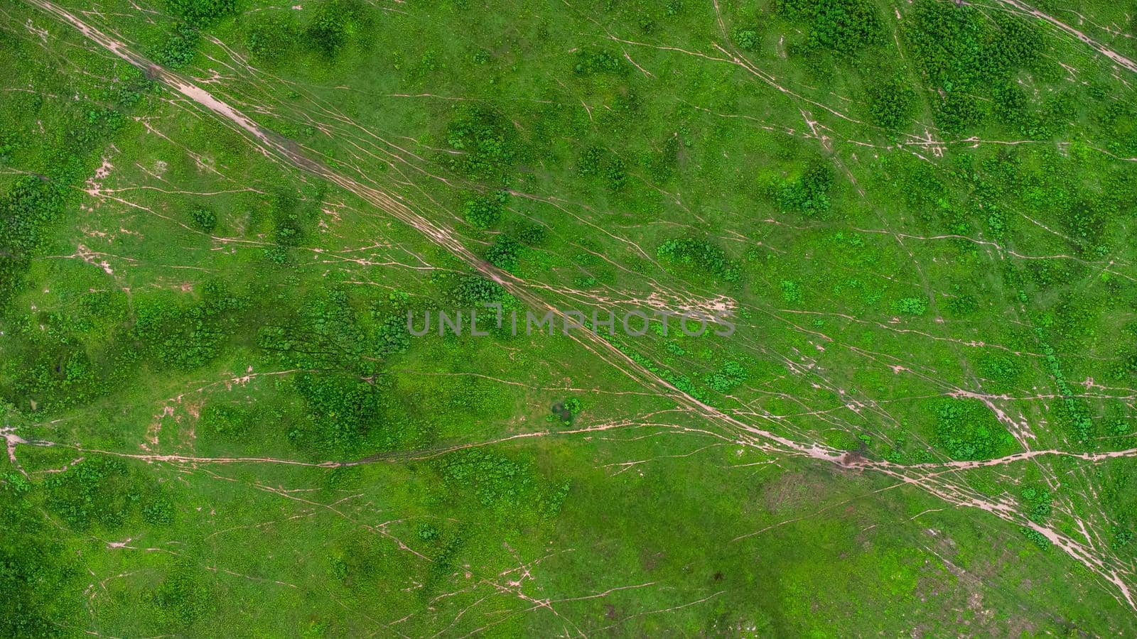 Aerial view of green pasture on a sunny day. Beautiful green area of agricultural land or grazing in the rainy season of northern Thailand.