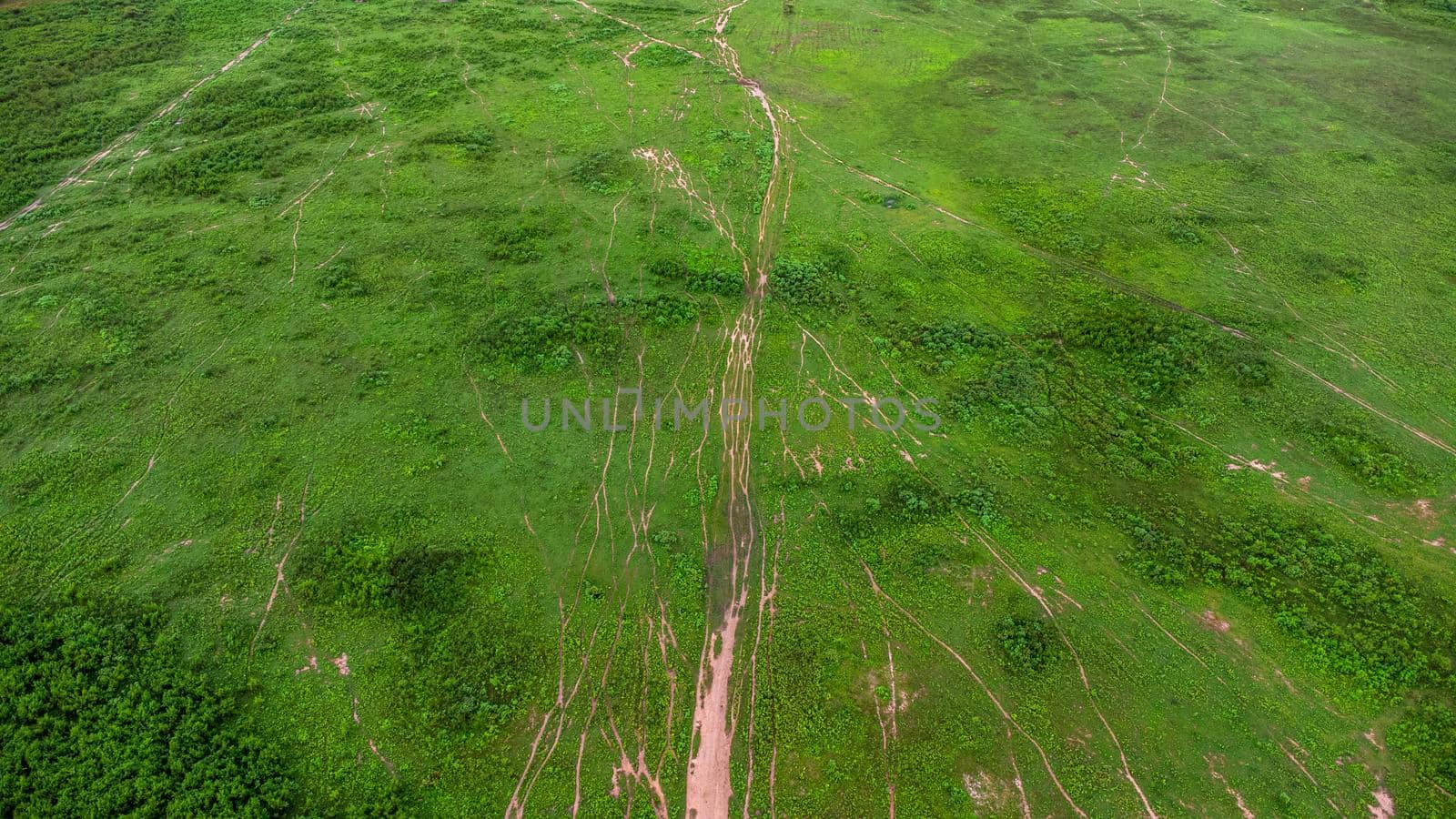 Aerial view of green pasture on a sunny day. Beautiful green area of agricultural land or grazing in the rainy season of northern Thailand.