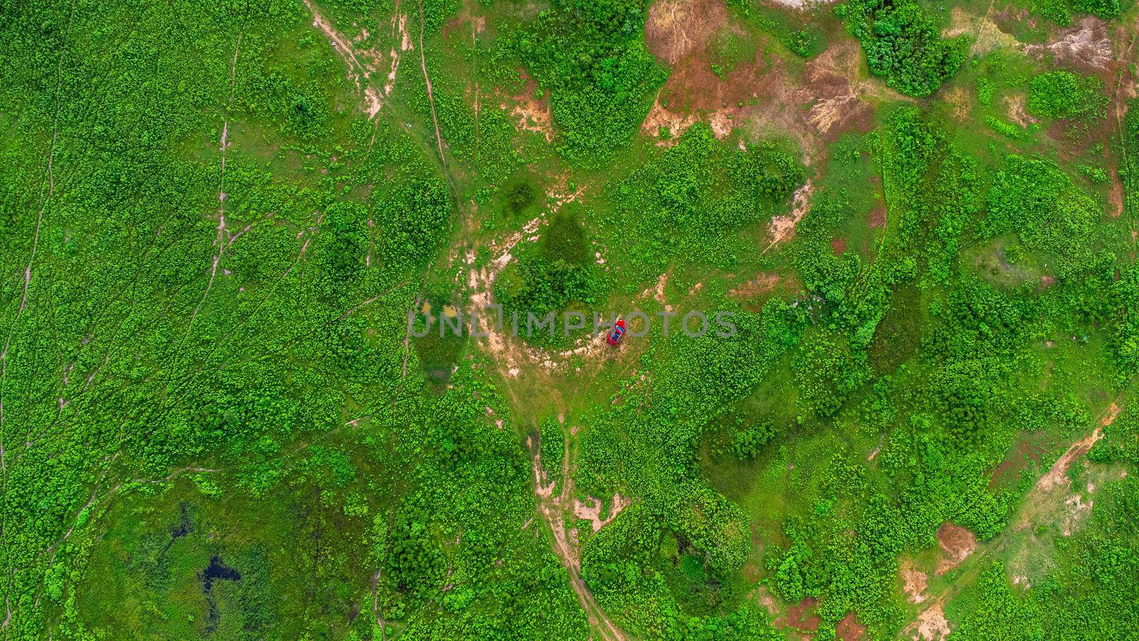 Aerial view of green pasture on a sunny day. Beautiful green area of agricultural land or grazing in the rainy season of northern Thailand. by TEERASAK