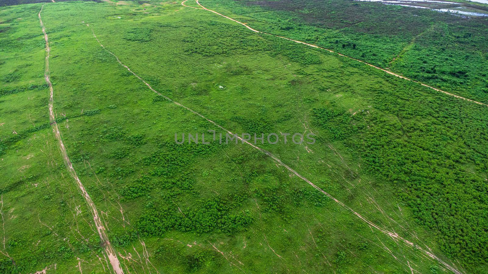 Aerial view of green pasture on a sunny day. Beautiful green area of agricultural land or grazing in the rainy season of northern Thailand. by TEERASAK