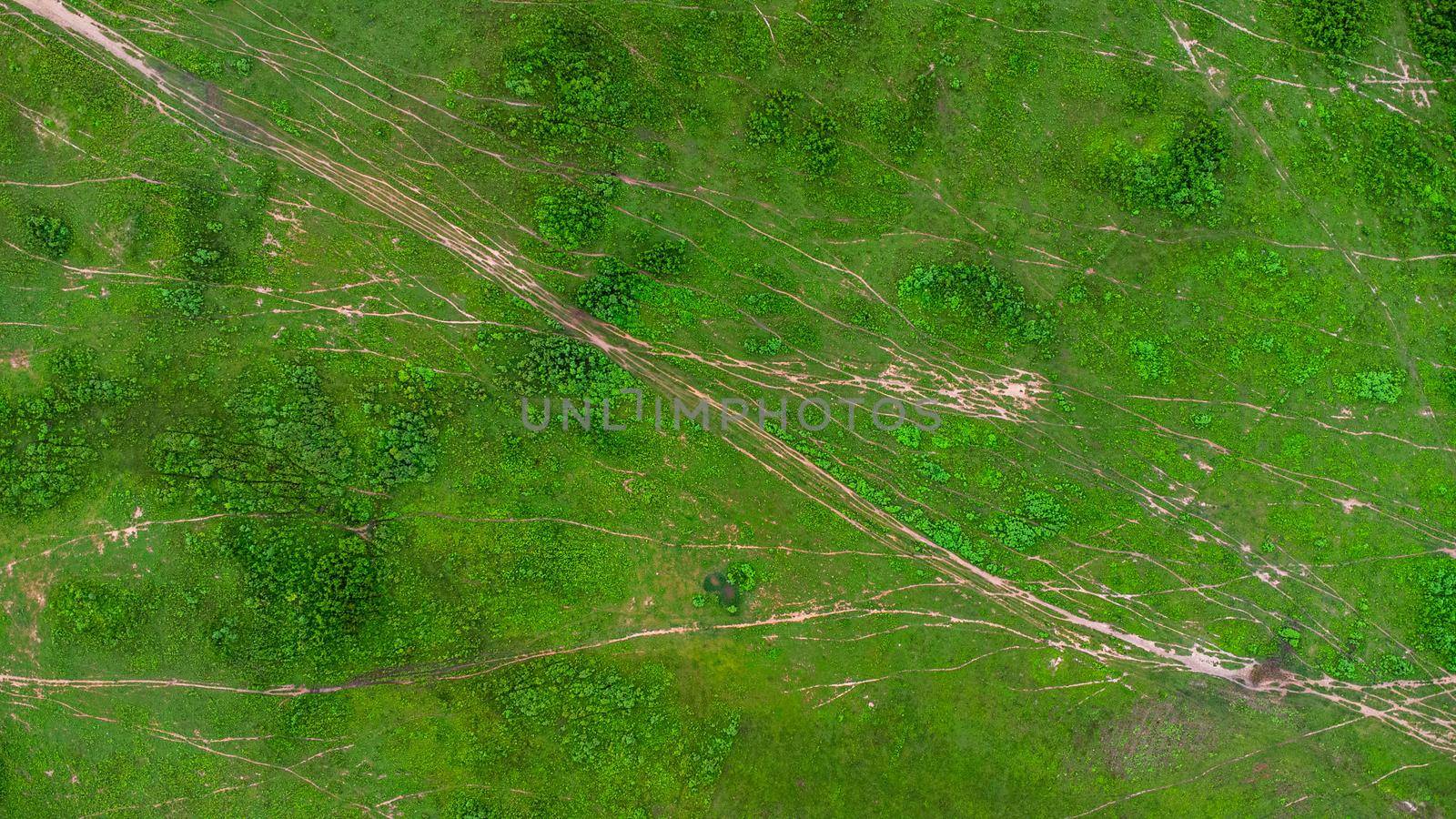 Aerial view of green pasture on a sunny day. Beautiful green area of agricultural land or grazing in the rainy season of northern Thailand. by TEERASAK