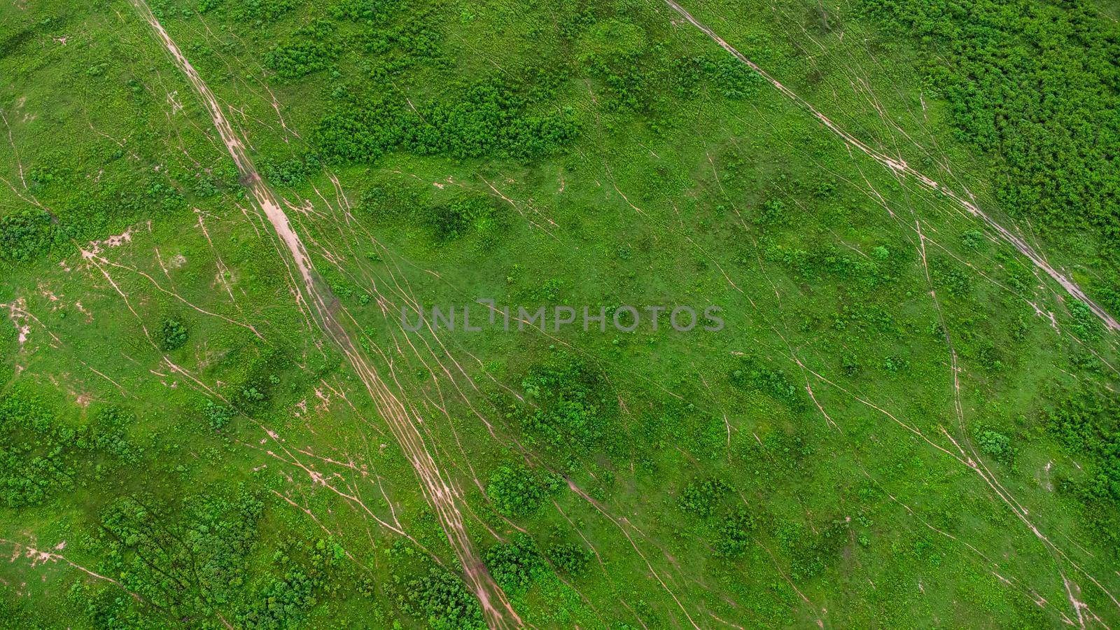 Aerial view of green pasture on a sunny day. Beautiful green area of agricultural land or grazing in the rainy season of northern Thailand. by TEERASAK