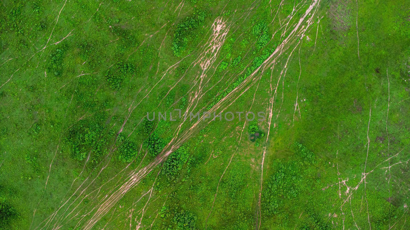 Aerial view of green pasture on a sunny day. Beautiful green area of agricultural land or grazing in the rainy season of northern Thailand. by TEERASAK