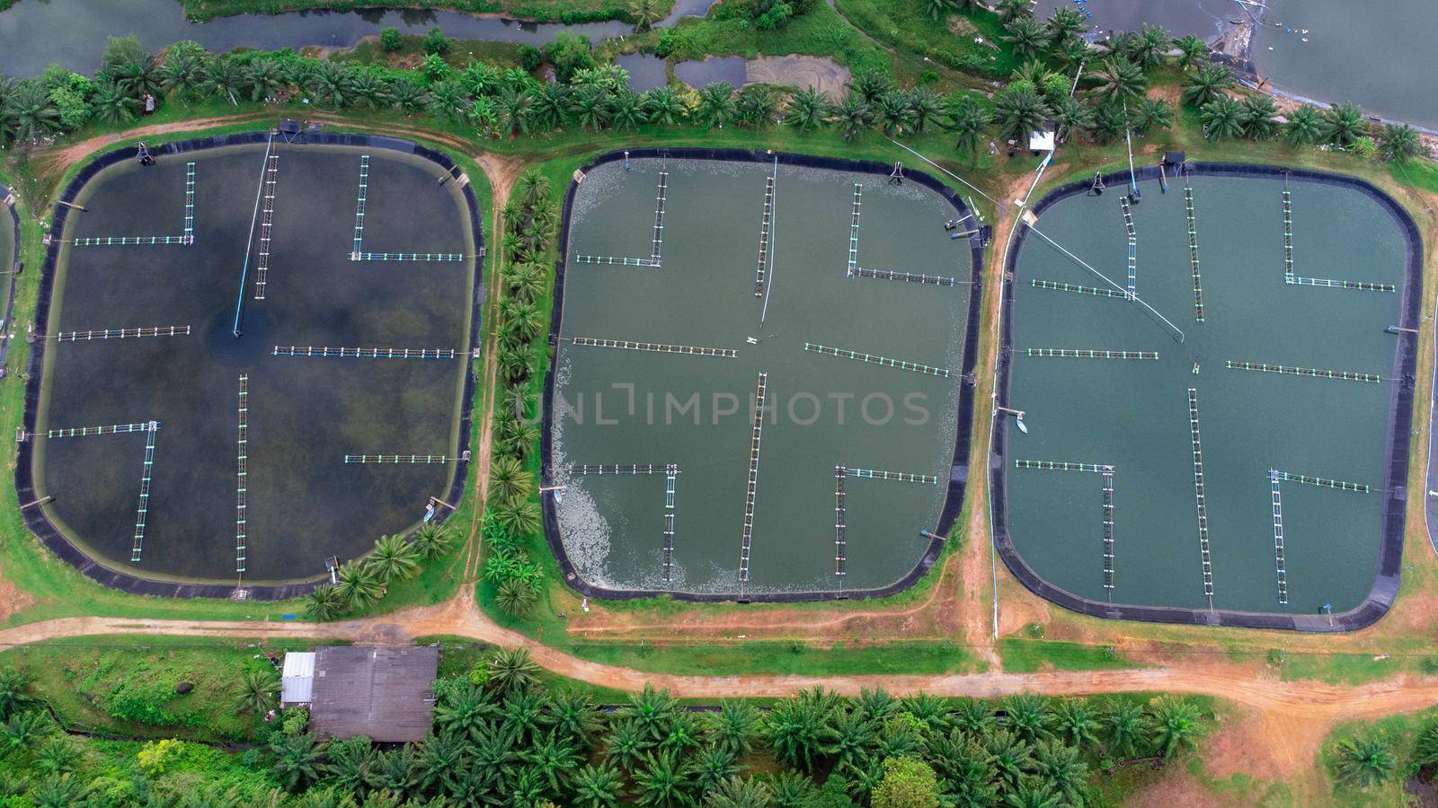 Aerial view of sewage treatment plant. Industrial wastewater treatment plant in Southern Thailand. Sewage Farm by TEERASAK