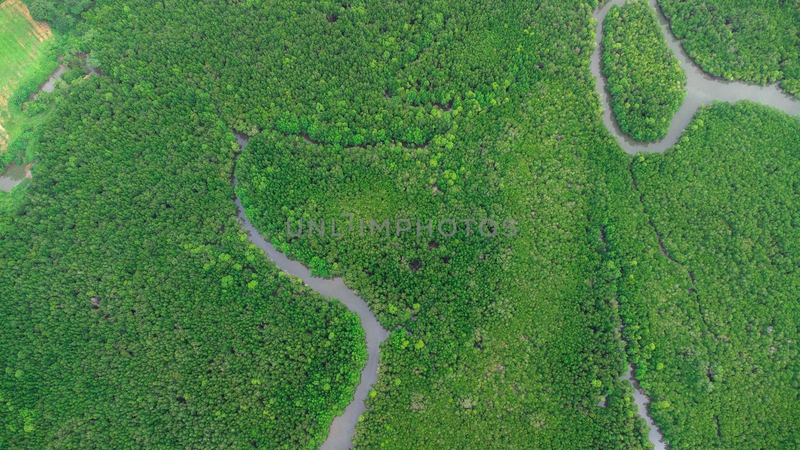 Aerial view of Phang Nga Bay and mangrove forest in the Andaman Sea, Thailand. Samet Nangshe, Unseen thailand. Beautiful natural landscape background by TEERASAK