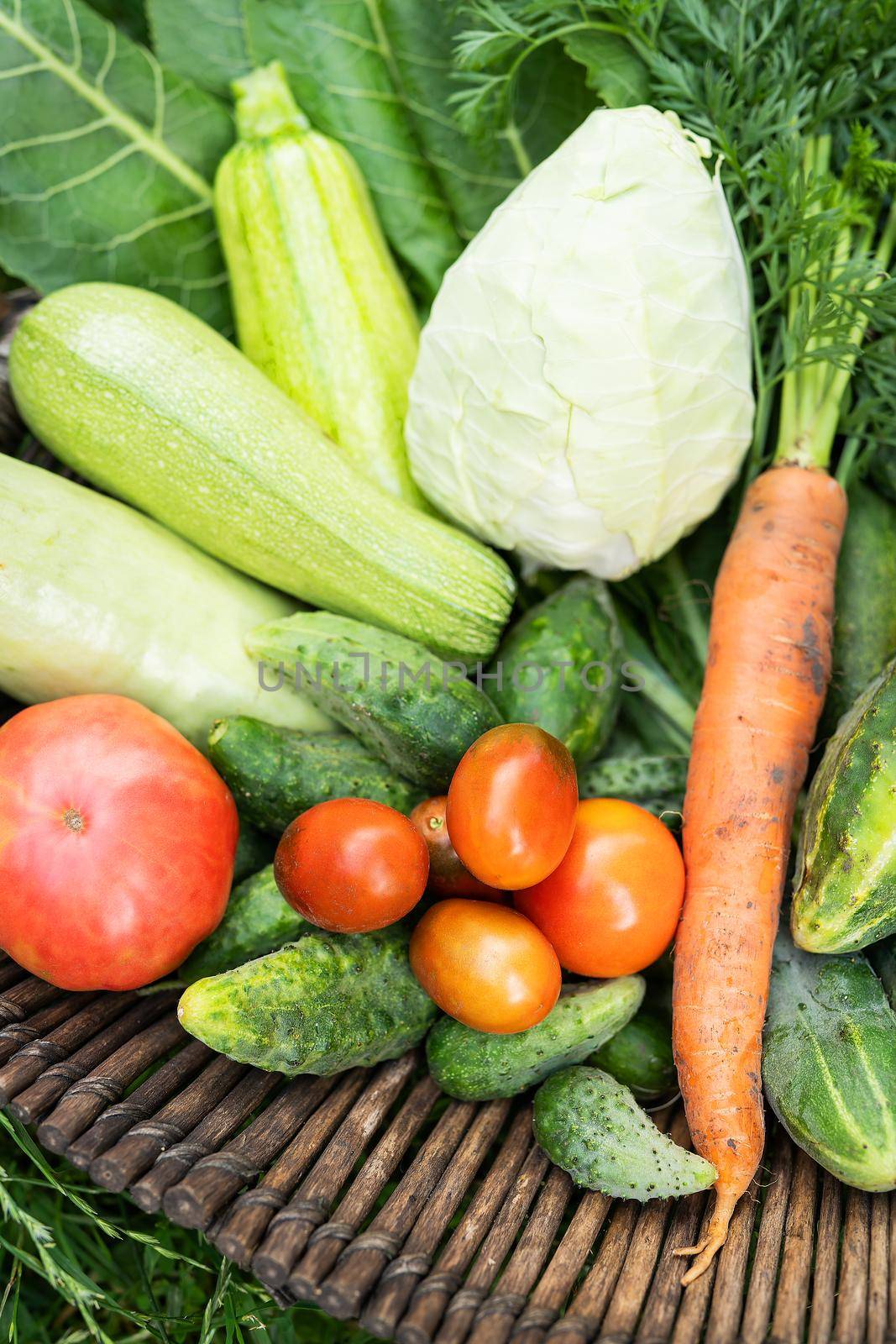 There is a wooden basket with homemade vegetables in the garden. Selective focus. The concept of harvesting from the garden, close-up. Agriculture