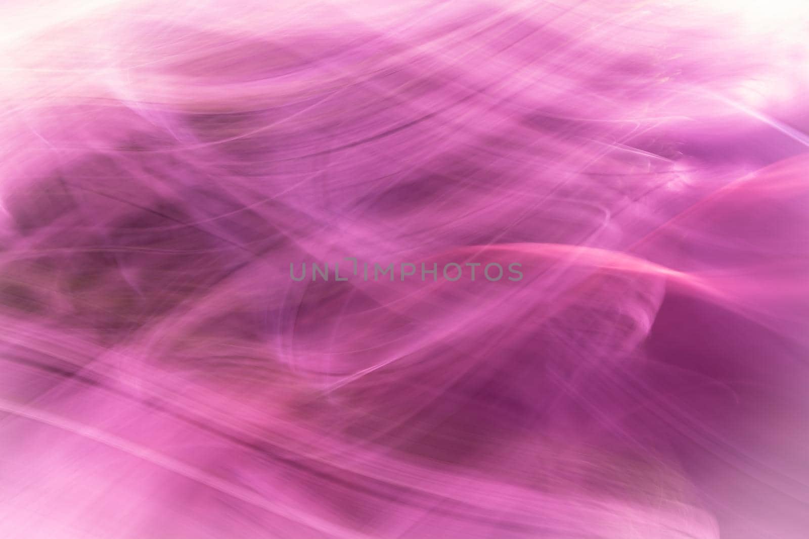 Abstraction banner in lilac pink colors, chaotic waves of the line, worn with a soft gradient. Backdrop