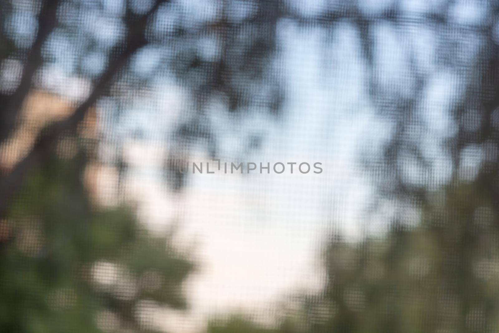 Blurred background through the mosquito net on the window from the sky and trees. Backdrop