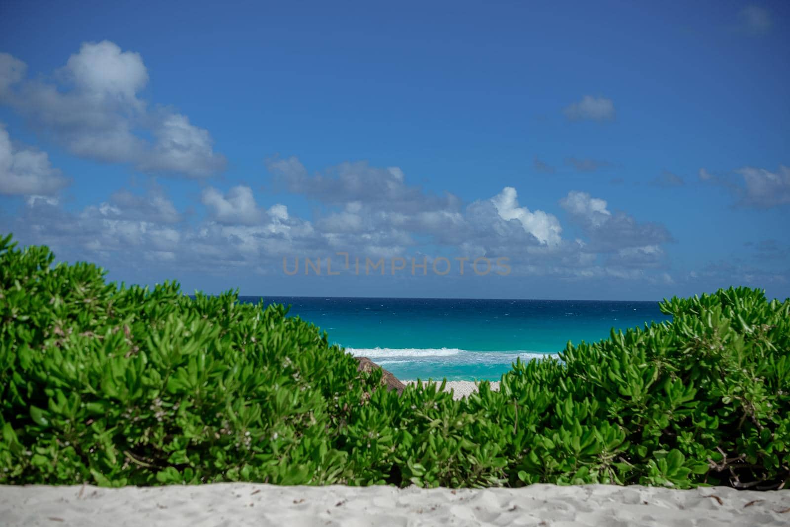 Sea shore on the Caribbean beach in the Area Hoteleria in Cancun Quintana Roo Mexico.