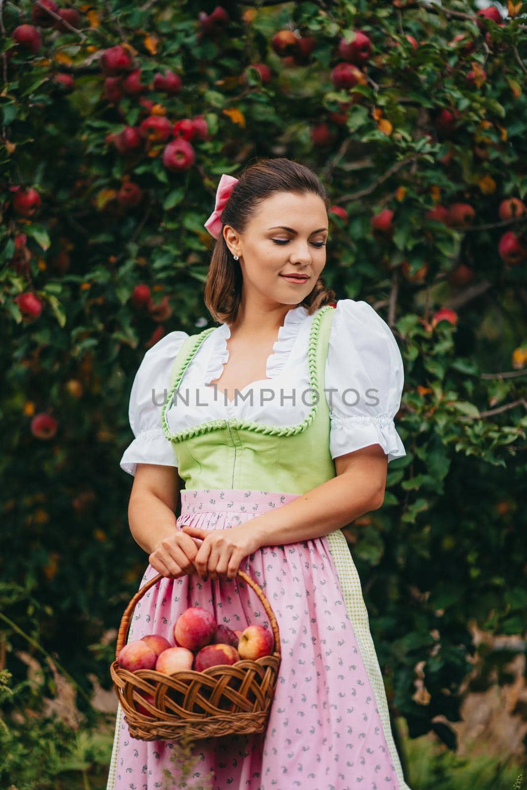 Beautiful woman picking up ripe red apple fruits in green garden. Girl in cute long peasant dress. Organic village lifestyle, agriculture, gardener occupation. High quality photo