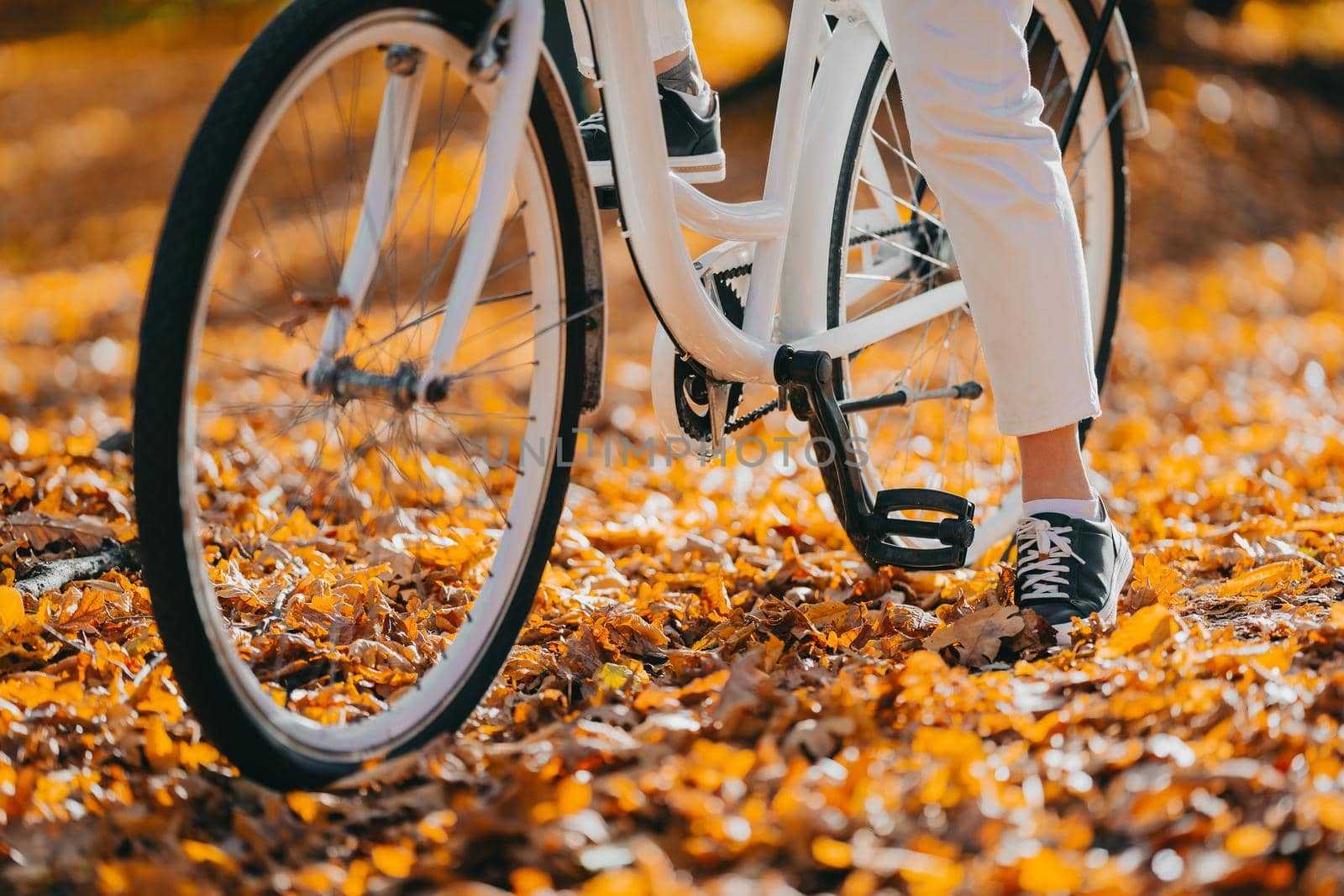 Close-up legs of woman in white pants cycling alone in autumn park. Sunny day, golden leaves in fall yellow forest. Unrecognizable girl on vintage bicycle,healthy lifestyle, aesthetic pic.High quality