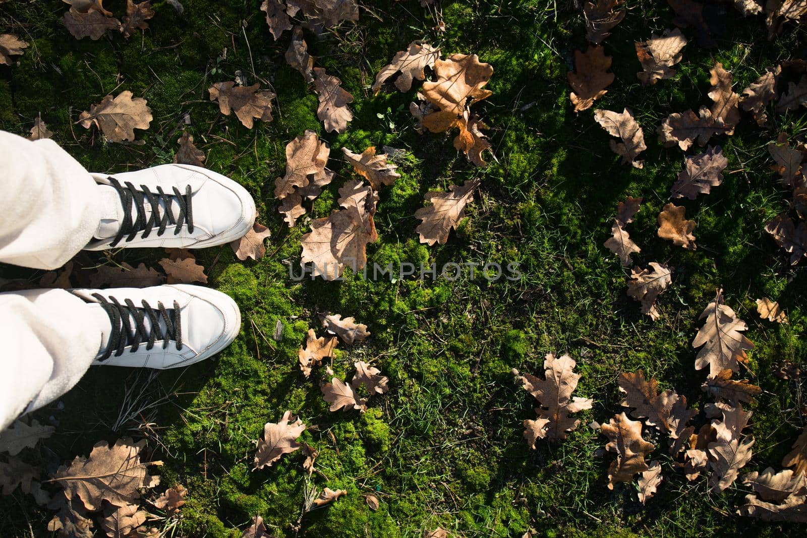 feet in white sneakers on green grass with autumn oak leaves. View from above. copy space by Tanacha