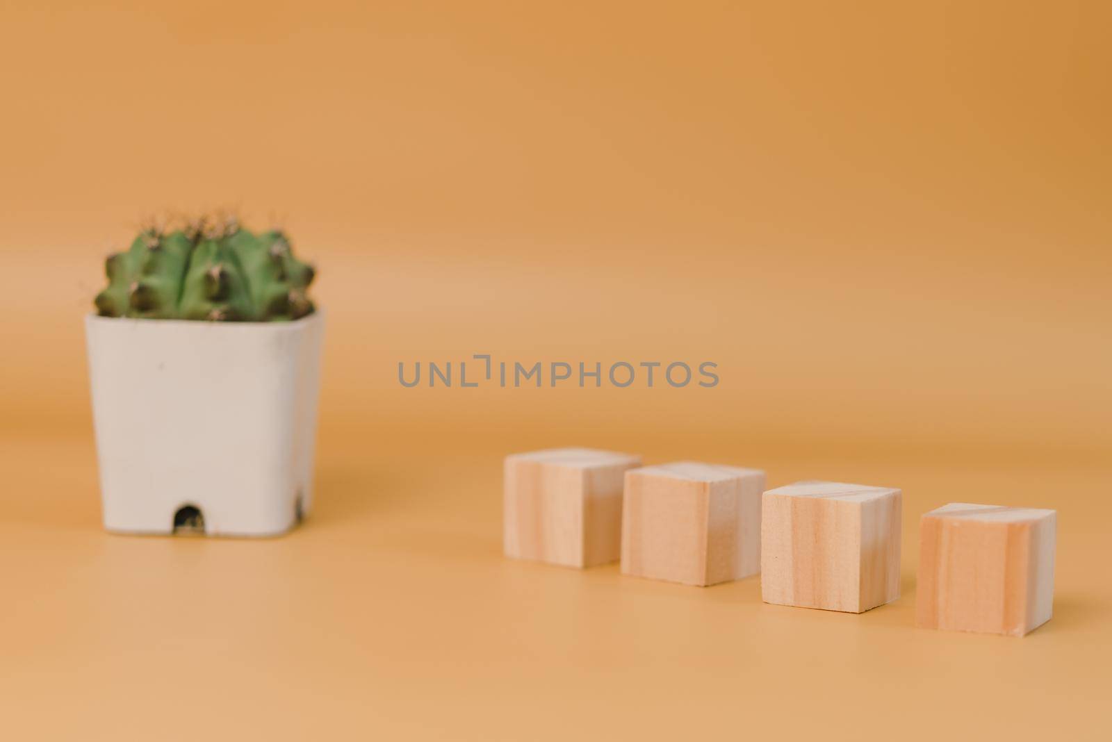 wood cube block blank and tree on yellow background. by aoo3771