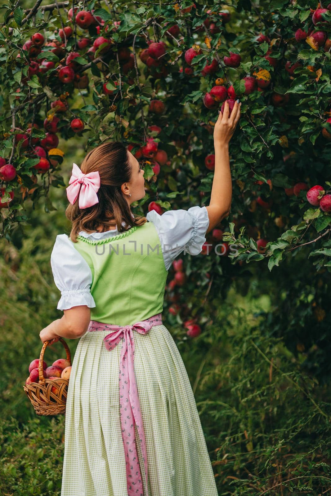 Beautiful woman picking up ripe red apple fruits in green garden. Girl in cute long peasant dress. Organic village lifestyle, agriculture, gardener occupation. High quality photo