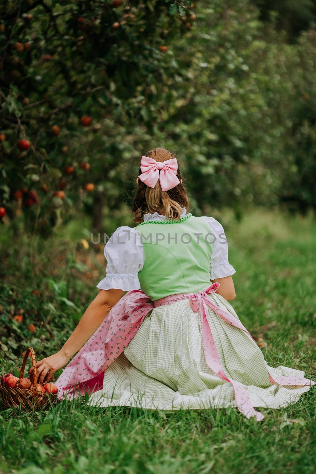 Unrecognizable woman picking up ripe apples in garden. Girl in cute long peasant dress. Organic village lifestyle, agriculture, gardener occupation. High quality photo