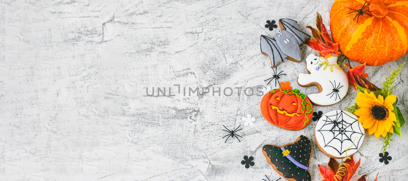 banner with Halloween background with cookies, leaves, sunflower and spiders, top view. Halloween objects on textured concrete with space for text. Vintage background Halloween celebration. by Leoschka