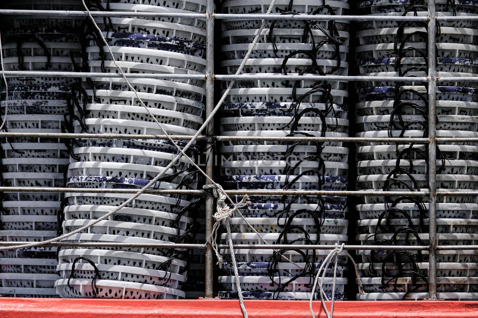 Close-up shot of loading baskets on a truck preparing to transport fresh seafood at the jetty. by TEERASAK