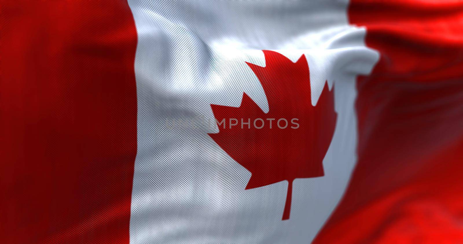 Close-up view of the canadian national flag waving in the wind. is a country in North America. Fabric textured background. Selective focus