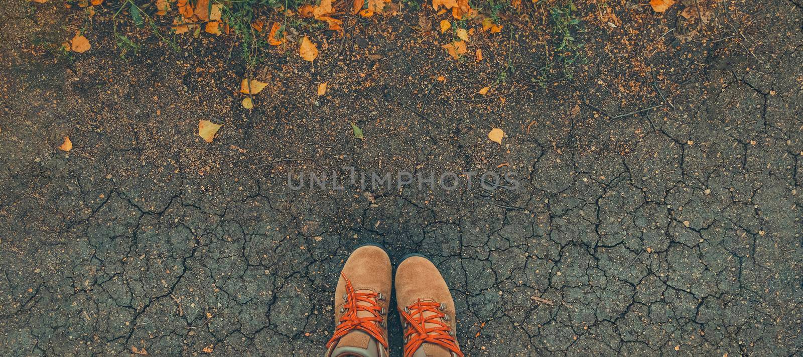 banner with Casual unisex boots with bright laces and colorful autumn fallen leaves. Toned. Autumn fall scene. Legs in boots on dry earth and autumn leaves. Lifestyle Fashion trendy style.