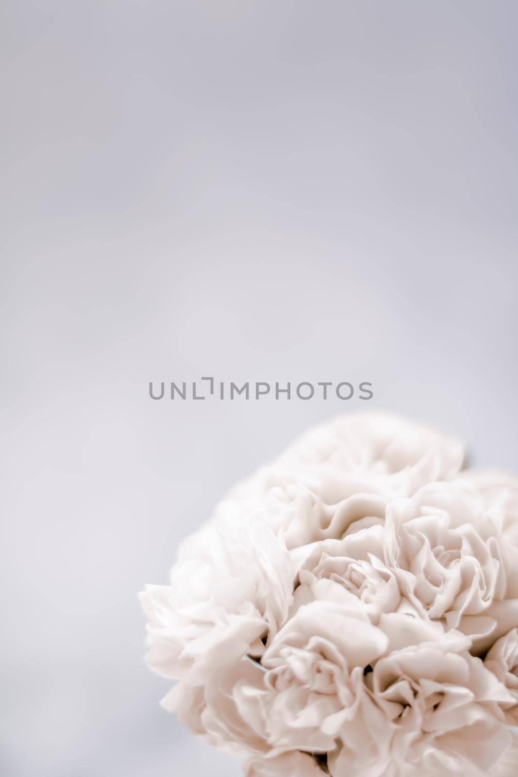 Bridal bouquet of white roses - wedding day, floral beauty, luxury event decoration concept. The happiest day of our lives