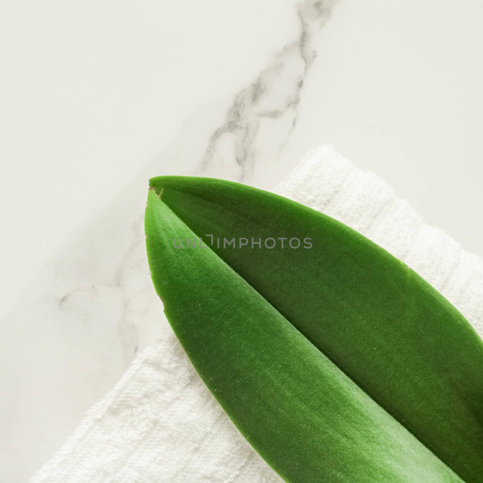 Green leaf on marble, flatlay - luxury design background, sustainable products and environmental concept. Eco-friendly way of life