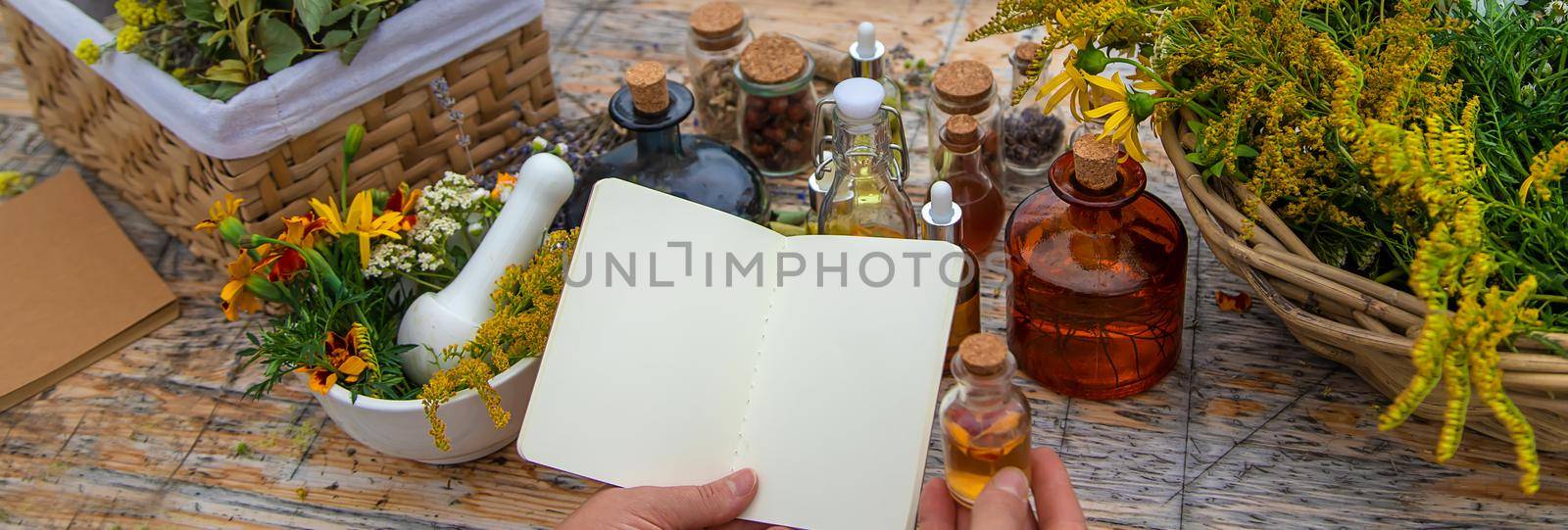 Medicinal herbs on the table. Place for notepad text. woman. Selective focus. nature.