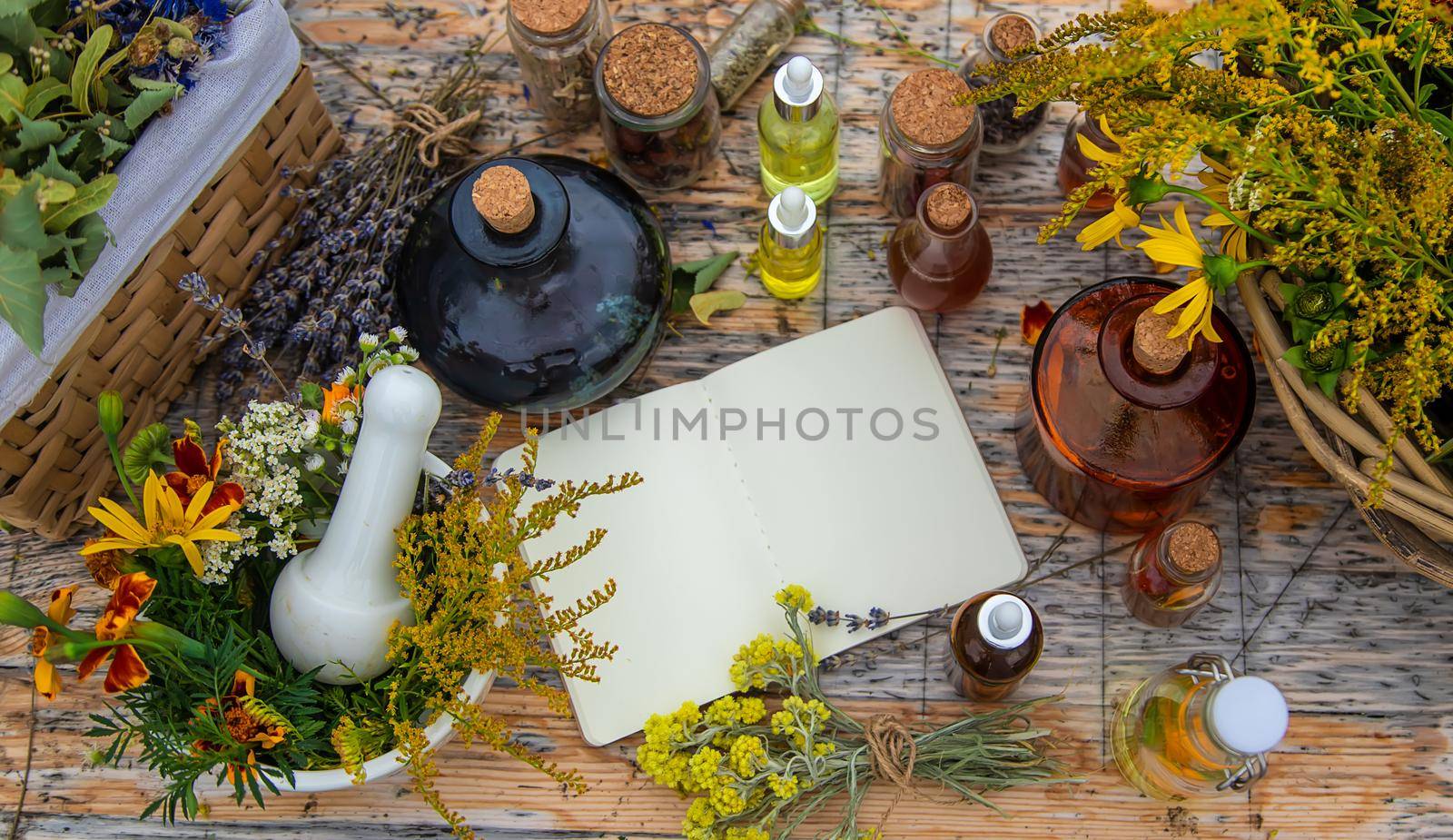 Medicinal herbs on the table. Place for notepad text. Selective focus. Nature.