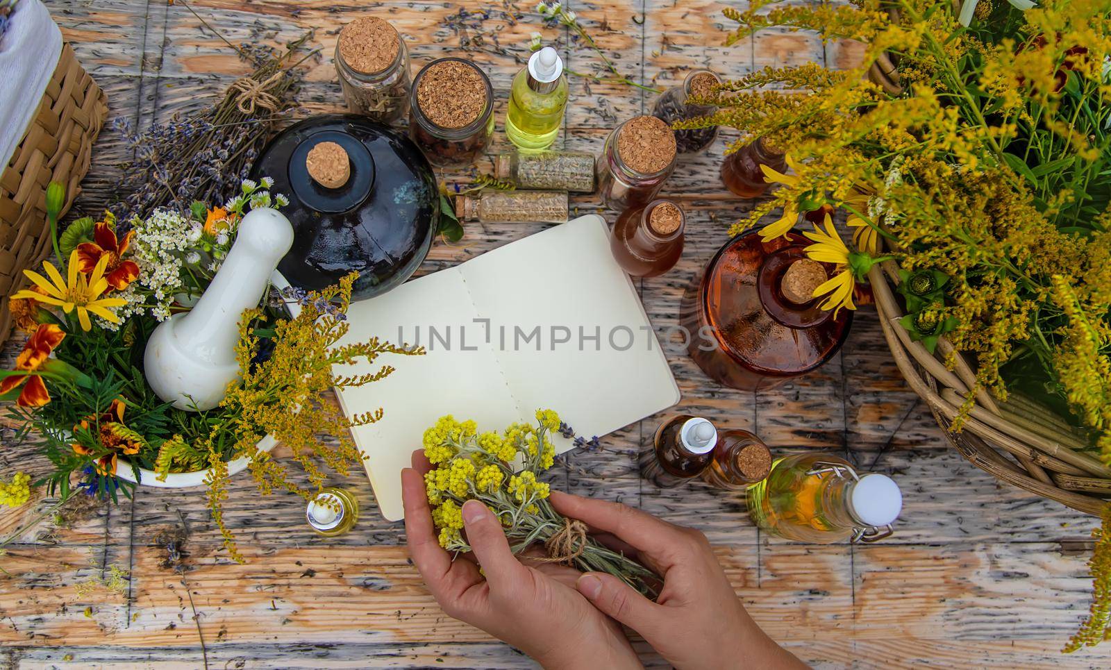 Medicinal herbs on the table. Place for notepad text. Selective focus. Nature.