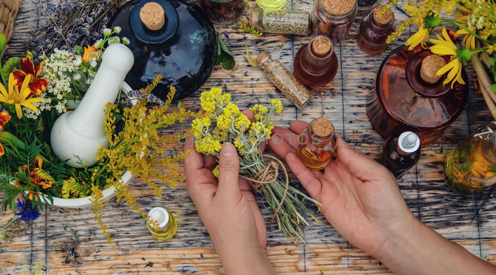 Woman with medicinal herbs and tinctures. Selective focus. Nature.