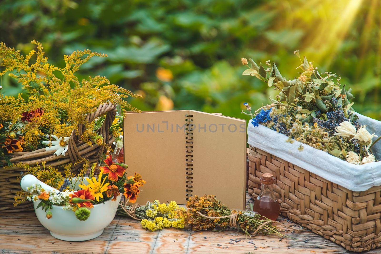 Medicinal herbs on the table. Place for notepad text. Selective focus. Nature.