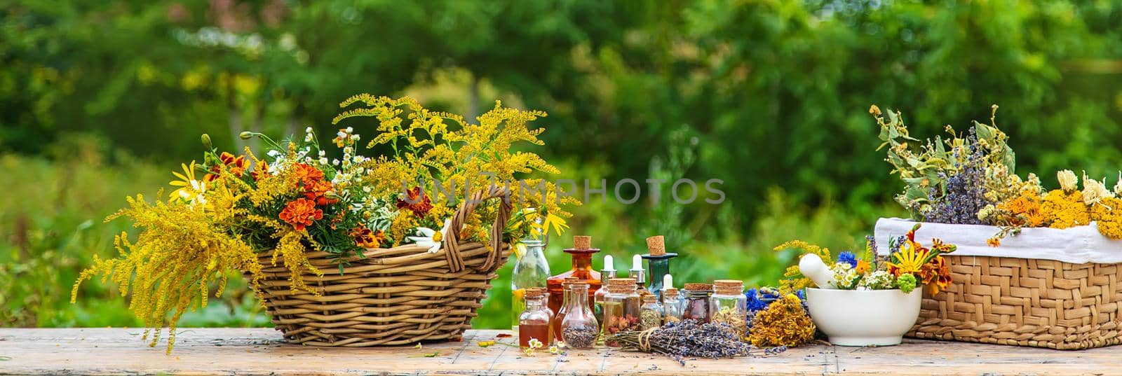 Medicinal herbs and tinctures on the table. Selective focus. Nature.