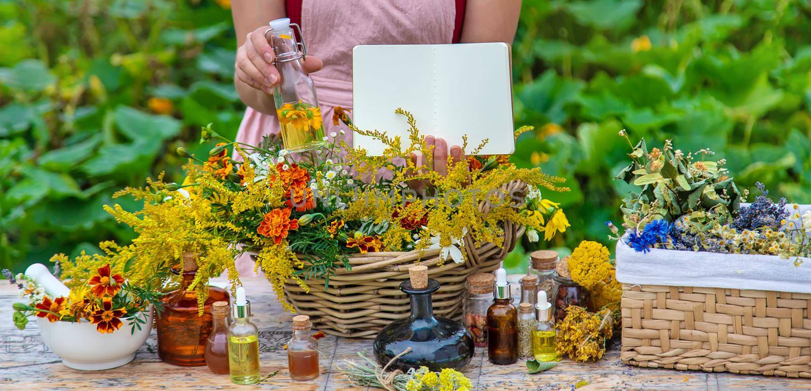 Medicinal herbs on the table. Place for notepad text. woman. Selective focus. nature.