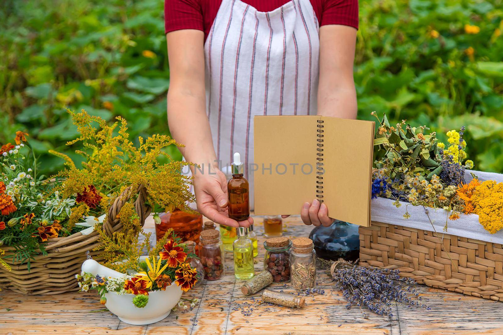 Medicinal herbs on the table. Place for notepad text. woman. Selective focus. nature.