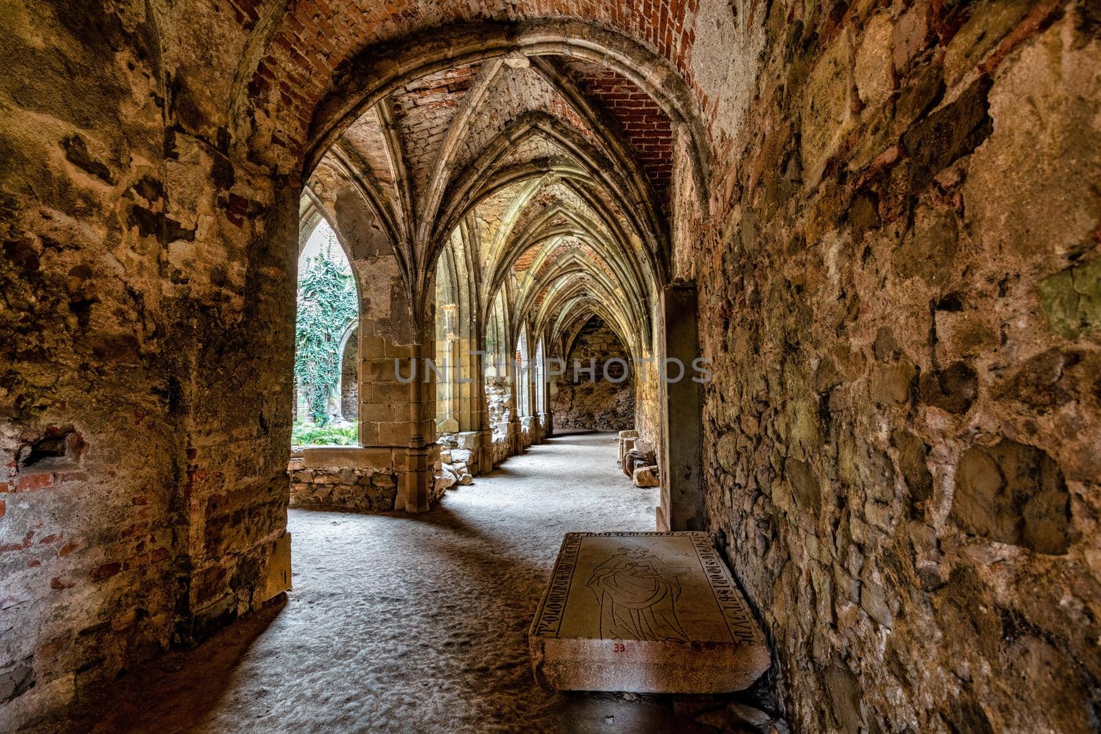 The Rosa Coeli monastery. Ancient catholic ruin of monastery near Dolni Kounice city. Religion gothic place with spiritual history builded from stone. Medieval and historical heritage. Czech Republic