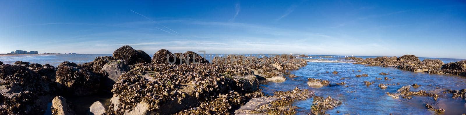 panoramic low angle view of a breakwater at the Northsea