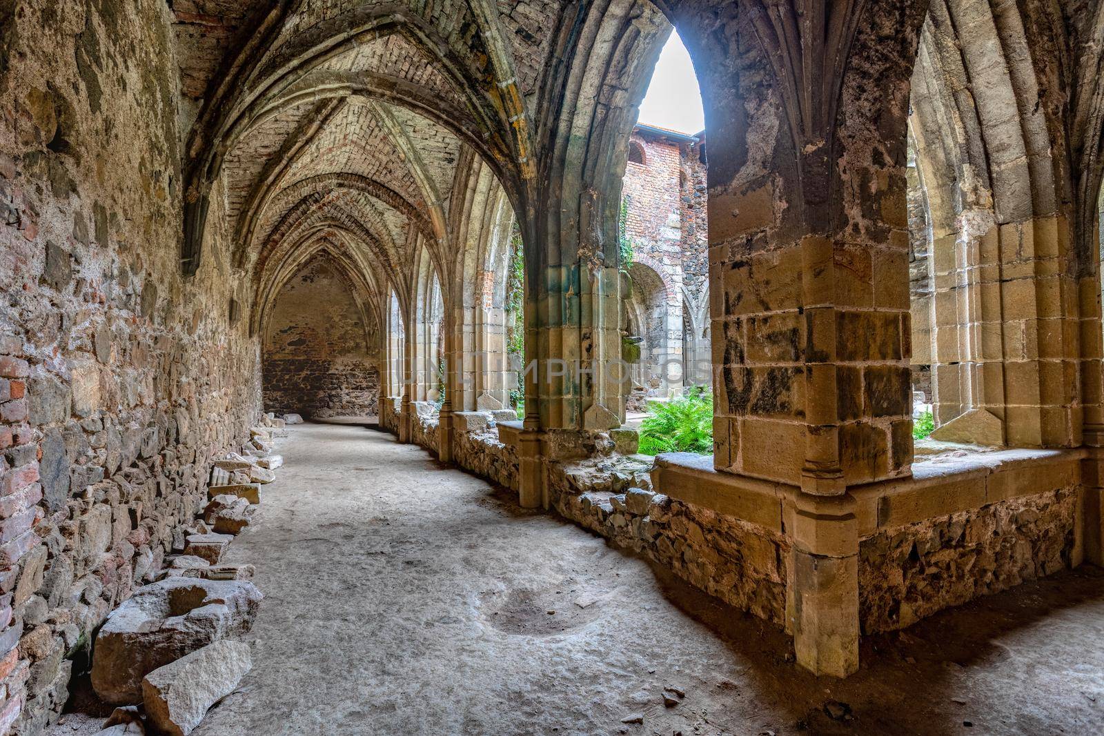 The Rosa Coeli monastery. Ancient catholic ruin of monastery near Dolni Kounice city. Religion gothic place with spiritual history builded from stone. Medieval and historical heritage. Czech Republic