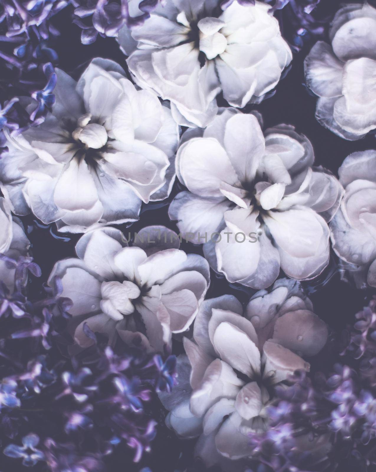 Vintage floral background by Anneleven