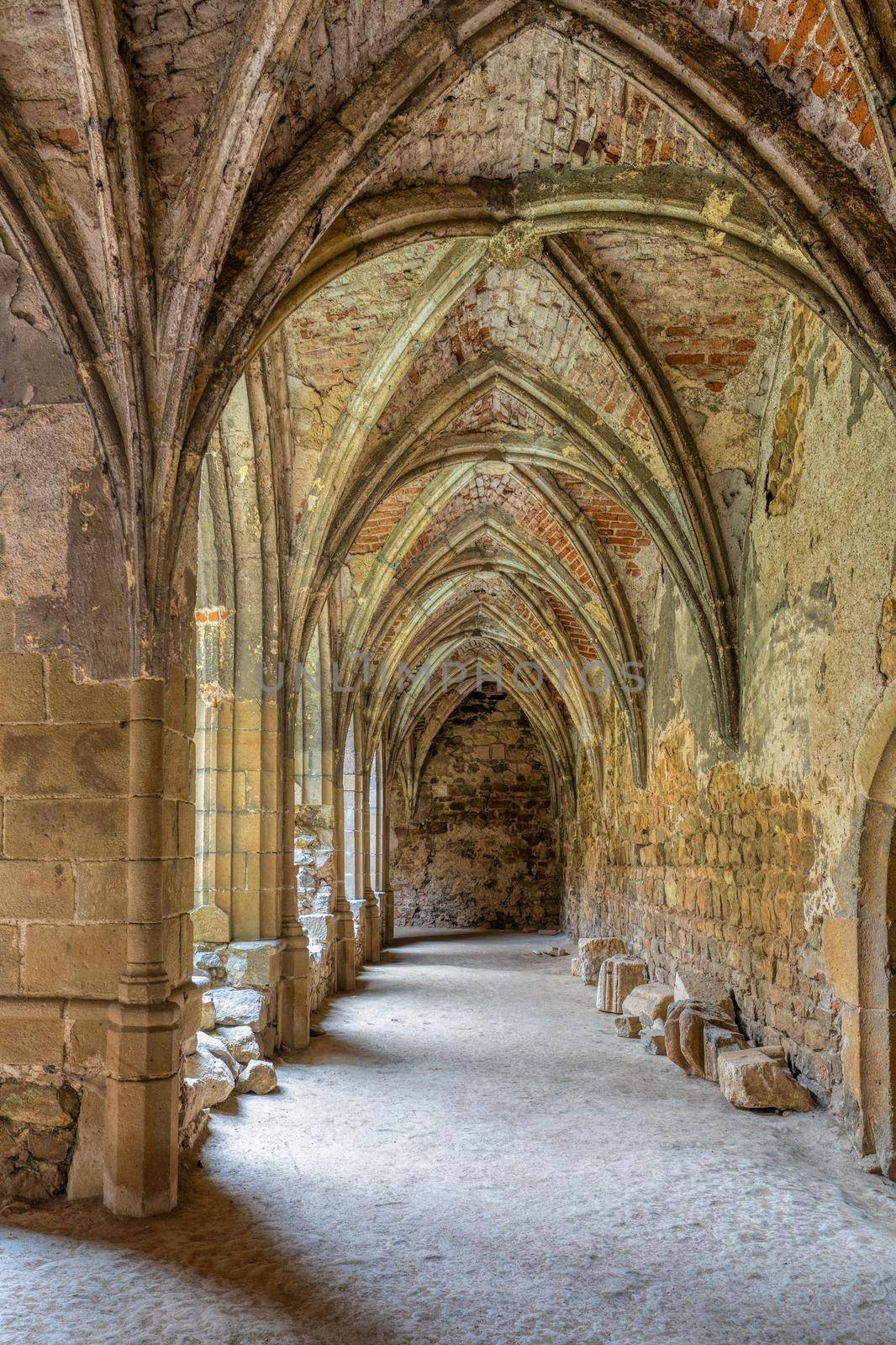 The Rosa Coeli monastery. Ancient catholic ruin of monastery near Dolni Kounice city. Religion gothic place with spiritual history builded from stone. Medieval and historical heritage. Czech Republic