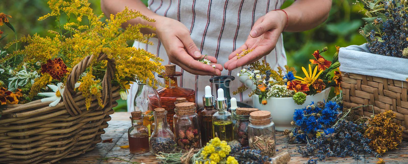 Woman with medicinal herbs and tinctures. Selective focus. Nature.