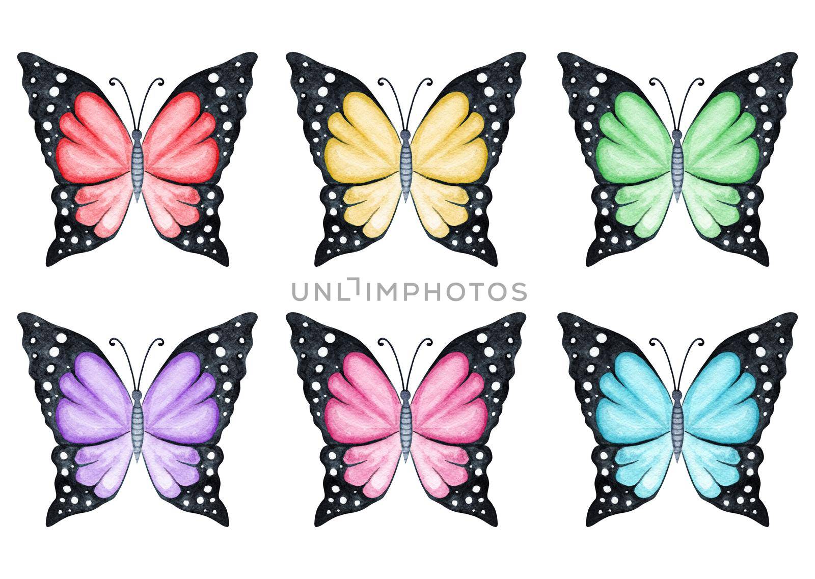 Watercolor colored butterflies set isolated on white background